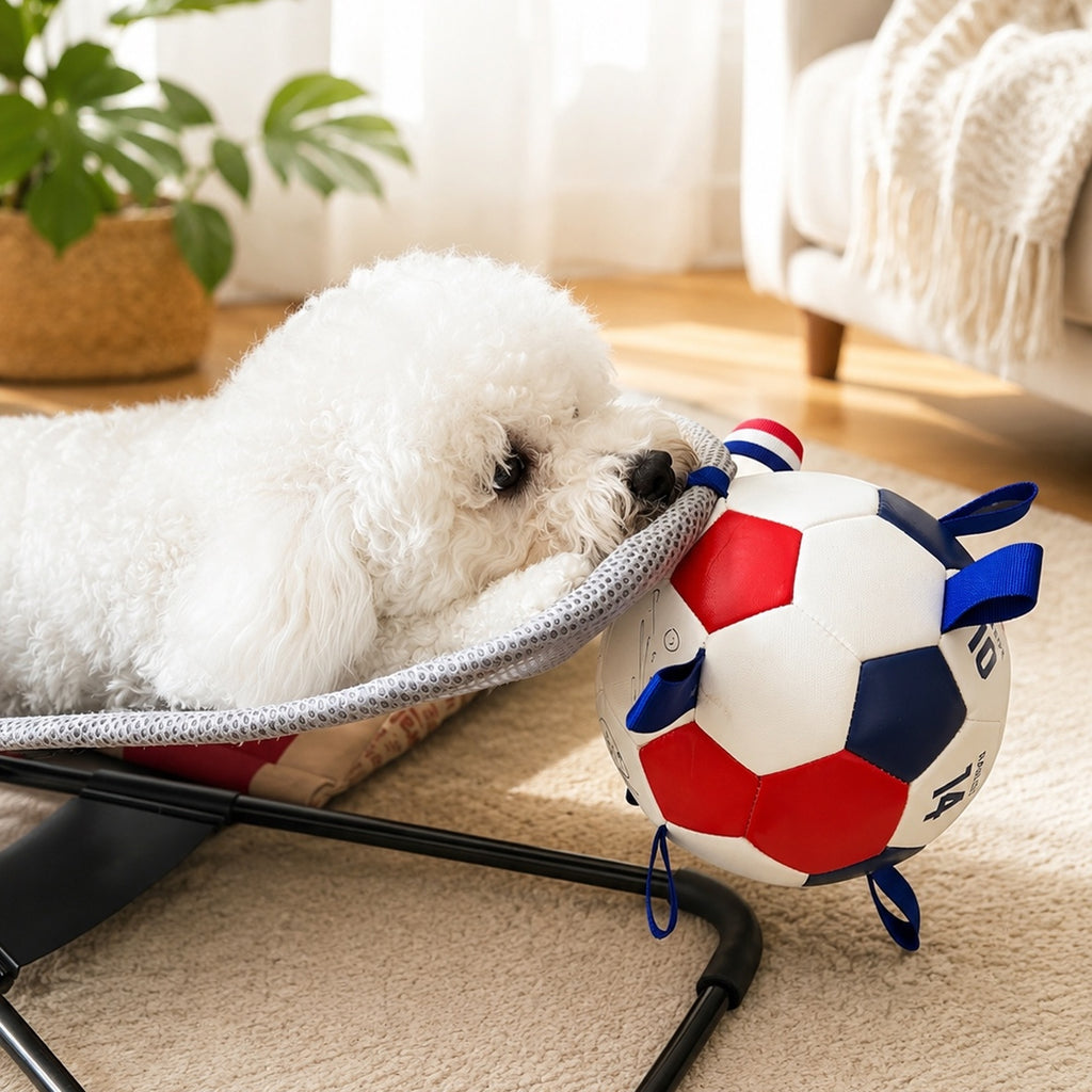 FIFA World Cup™ Official Licensed France National Team Pet Soccer Ball