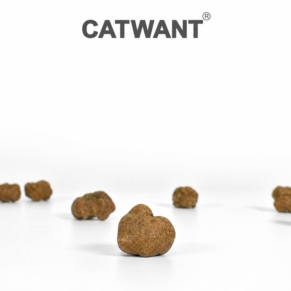 CATWANT Wild Edible Gall Fruit Freeze-Dried