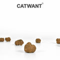 CATWANT Wild Edible Gall Fruit Freeze-Dried