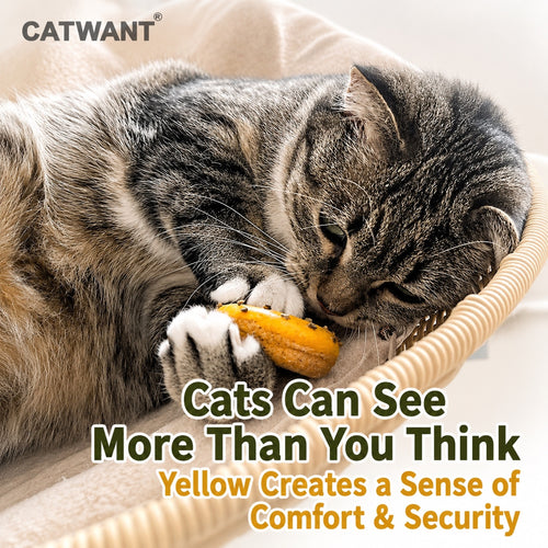 CATWANT Sweet Treats Donut Cat Toy - 4 Flavors Pack of 12