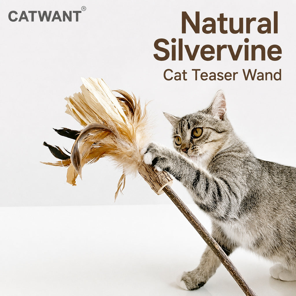 CATWANT Natural Silvervine Cat Teaser Wand