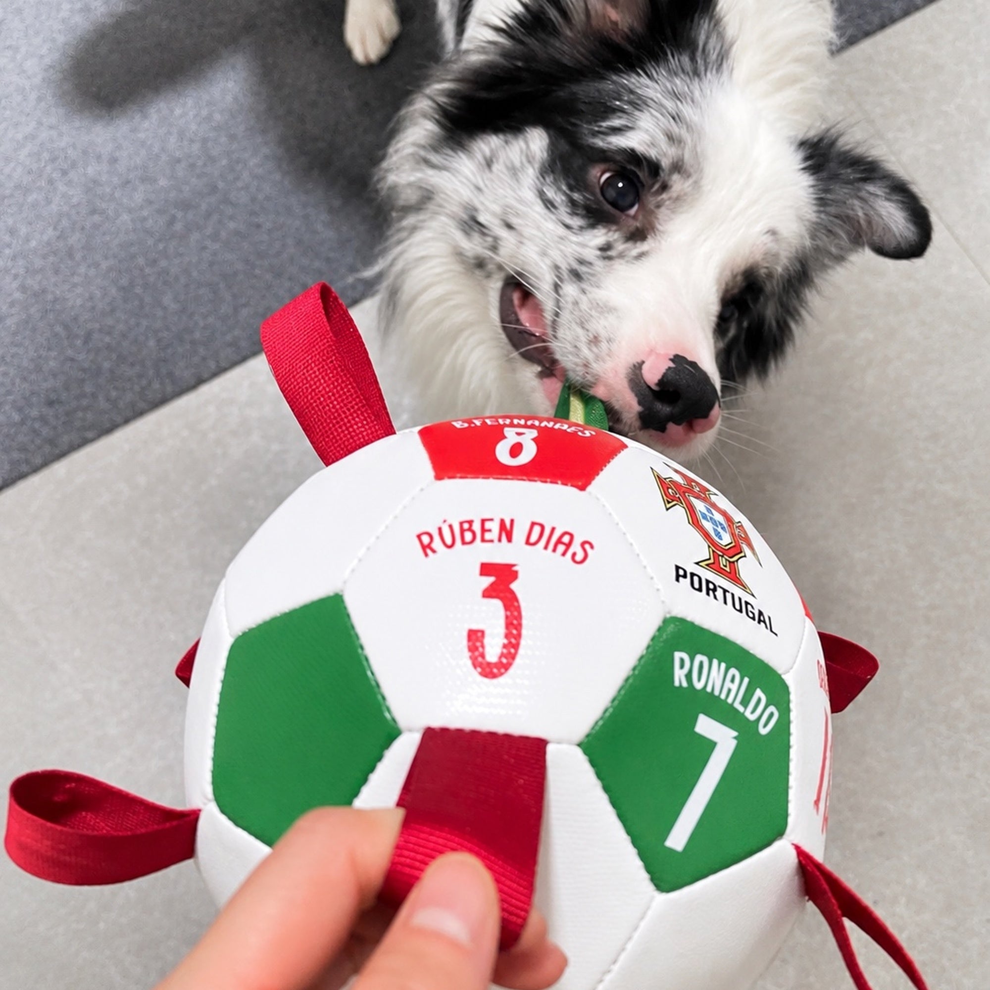 FIFA World Cup™ Official Licensed Portugal National Team Pet Soccer Ball