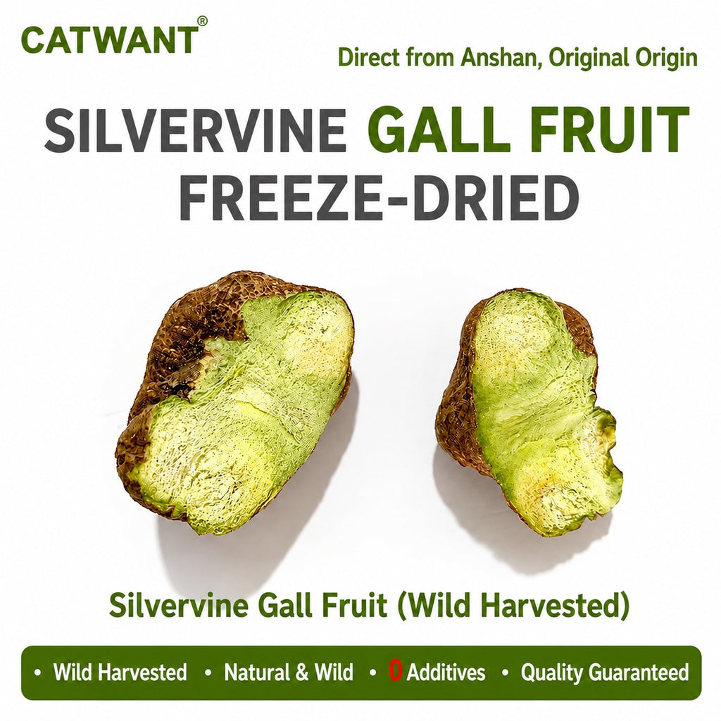 CATWANT Wild Edible Gall Fruit Freeze-Dried