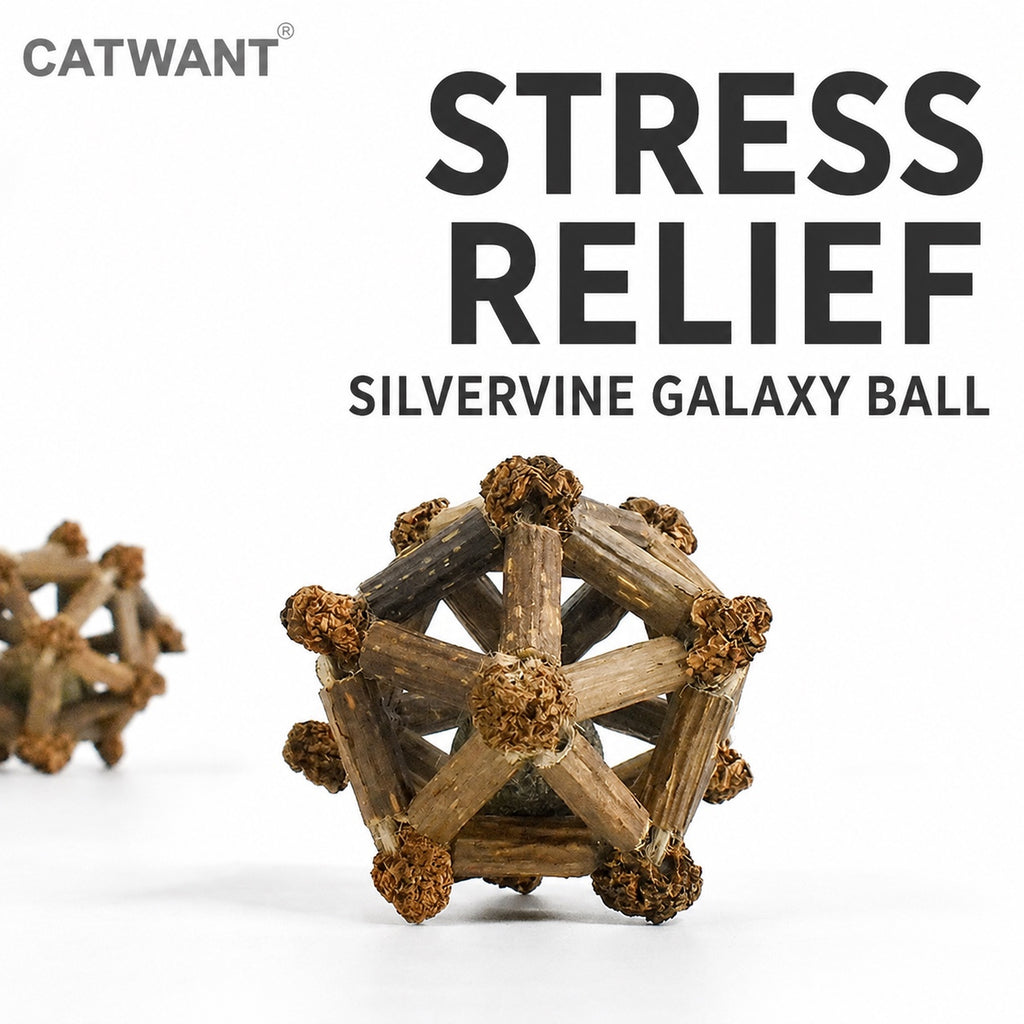 CATWANT Celestial 12 Planets Catnip Dental Chew Toy