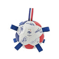 FIFA World Cup France National Team Pet Soccer Ball