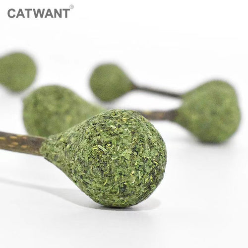 CATWANT Catnip & Silvervine Dental Chew Stick