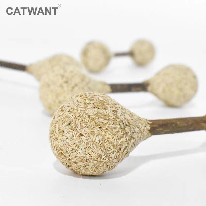 CATWANT Catnip & Silvervine Dental Chew Stick