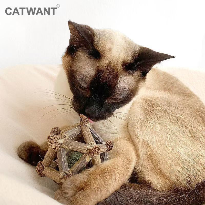 CATWANT Celestial 12 Planets Catnip Dental Chew Toy