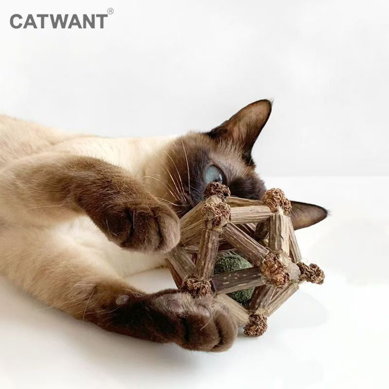 CATWANT Celestial 12 Planets Catnip Dental Chew Toy
